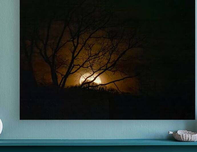 Wolf Moon Rising  1 Reproduction