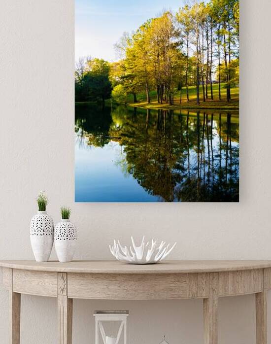 Reflection Reproduction