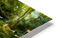 Roaring Fork Falls  1 HD Metal print