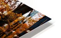 Sunset Through Fall Foliage HD Metal print
