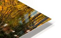Burnsville Backroad  1 HD Metal print