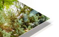 Spring Bloom HD Metal print