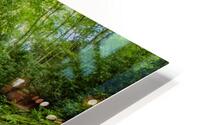 After The Storm HD Metal print