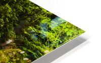 Rocky Fork Haven HD Metal print