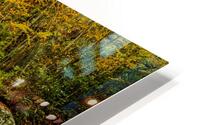 Fall at Rocky Fork HD Metal print
