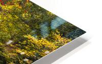 Reems Creek Fall  HD Metal print