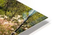 Path by Blooming Tree HD Metal print