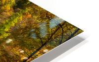 Murray Creek Crossing HD Metal print