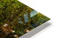 Rocky Fork III HD Metal print