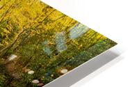 Rocky Fork II HD Metal print