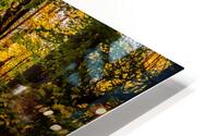 Hwy 197 Fall HD Metal print