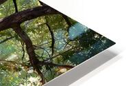 Old Spring House HD Metal print