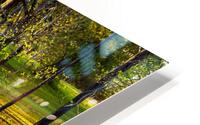 Reflections  2 HD Metal print