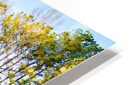 Reflection HD Metal print
