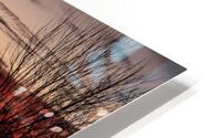 Blood Red Sunset HD Metal print