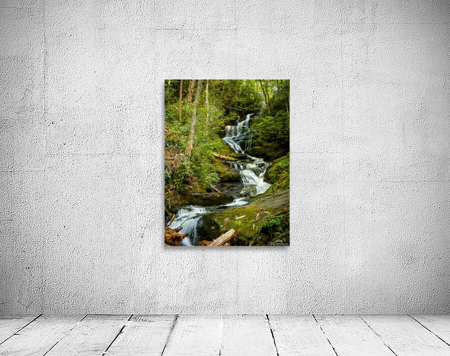 Roaring Fork Falls  1 Wall Preview