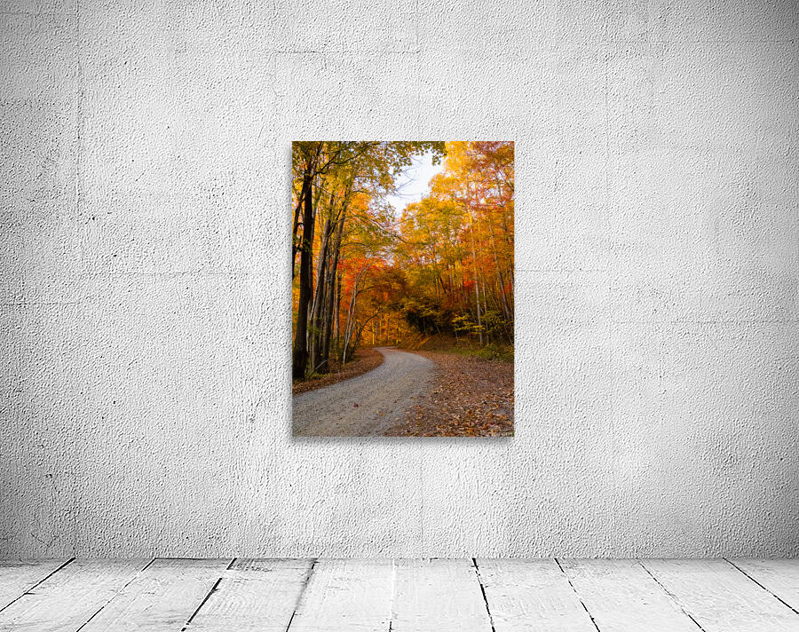 Burnsville Backroad  2 Wall Preview