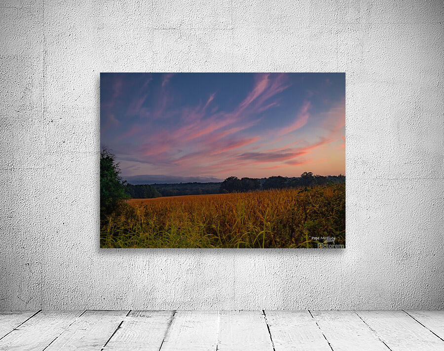 Evening Corn Field Wall Preview
