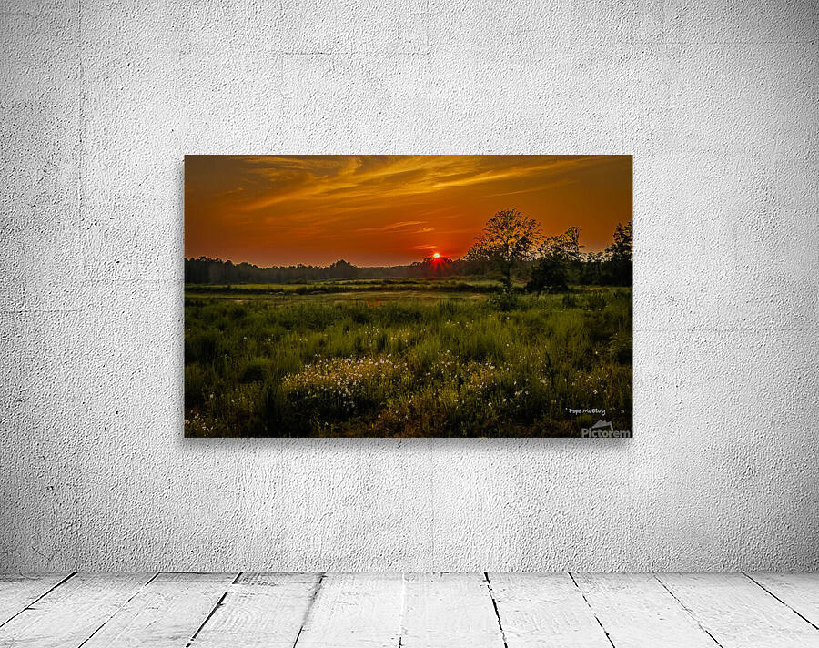 Pasture Sunset Wall Preview