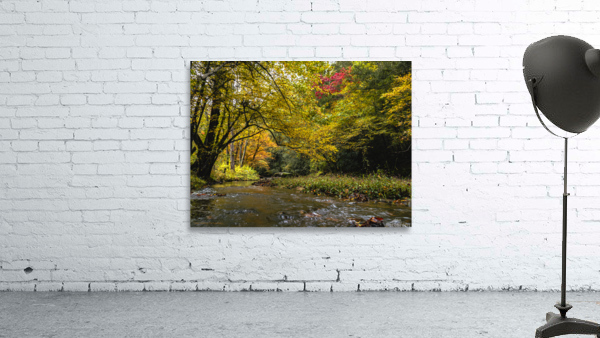 Reems Creek Fall  Wall Preview