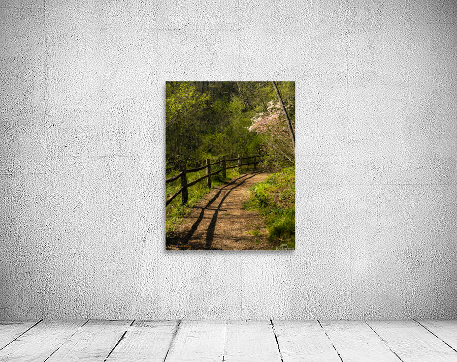 Path by Blooming Tree Wall Preview