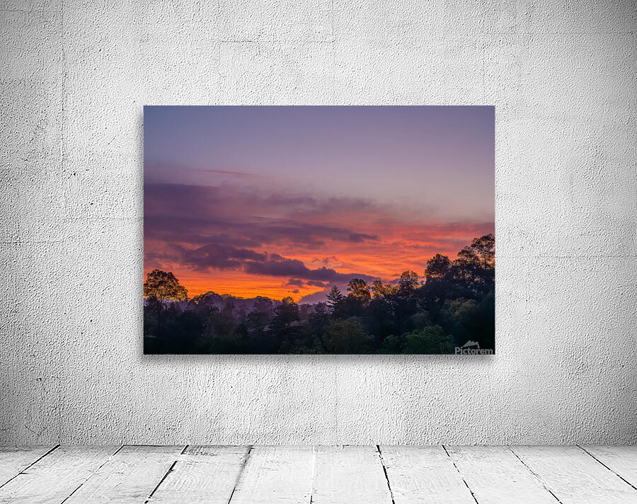 Sunrise Delight Wall Preview