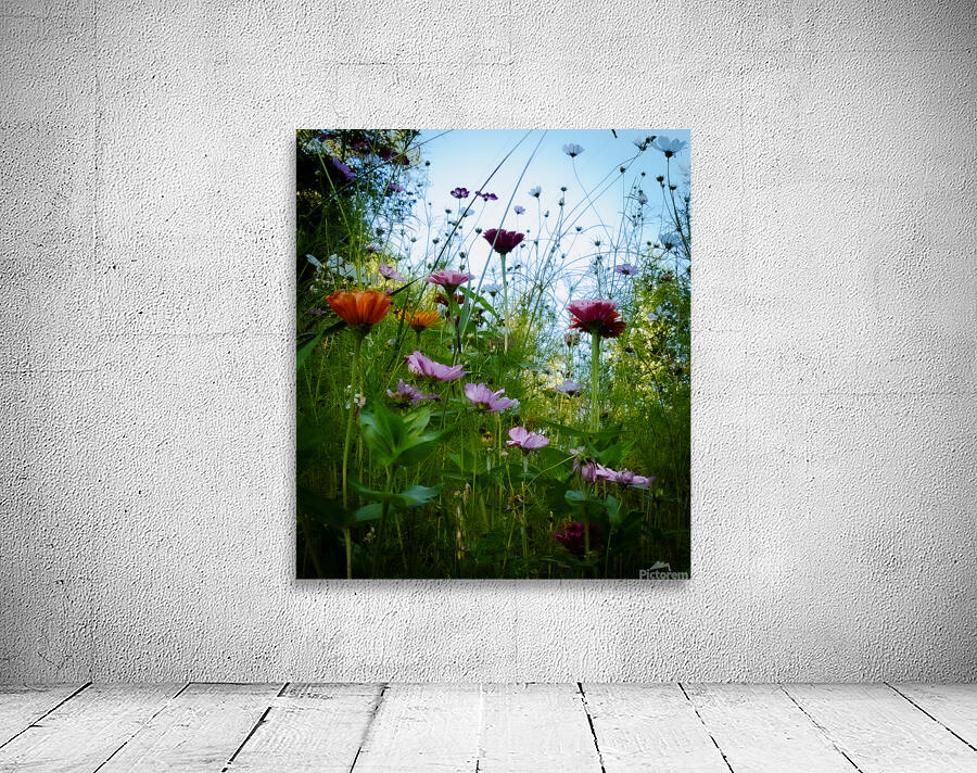 Butterfly Garden Wall Preview