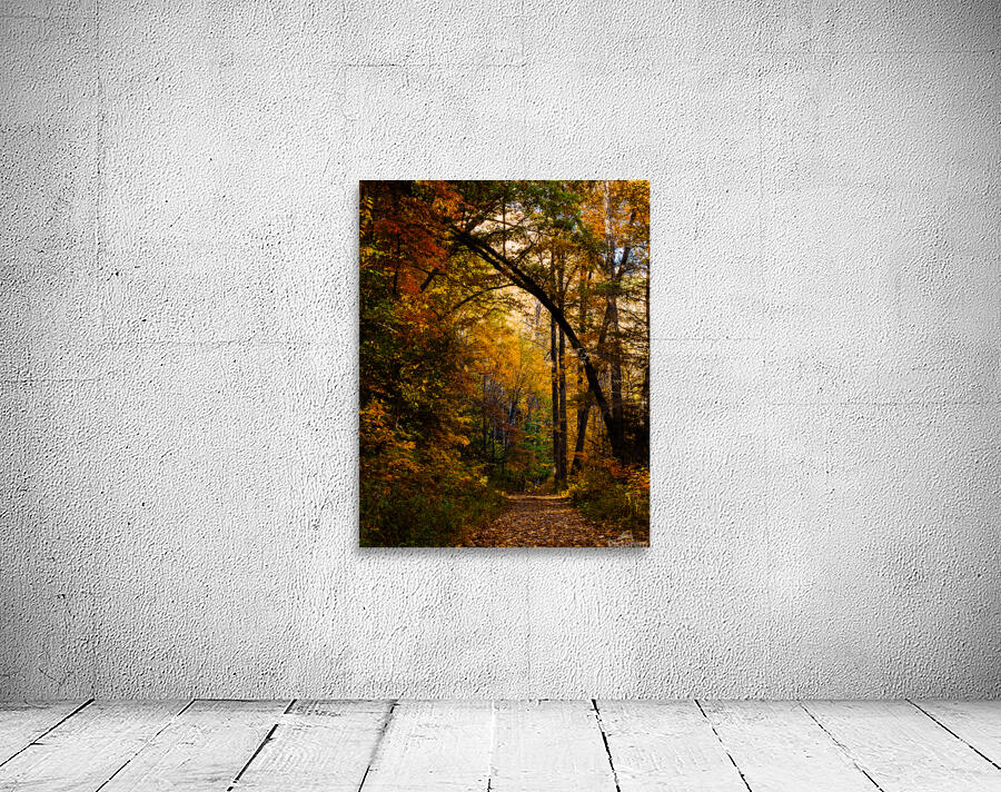 Pisgha Forest Trail Wall Preview