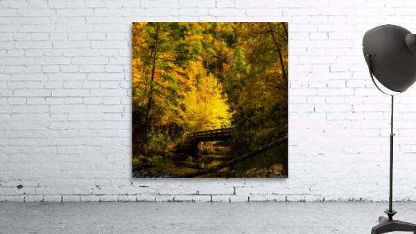Murray Creek Crossing Wall Preview