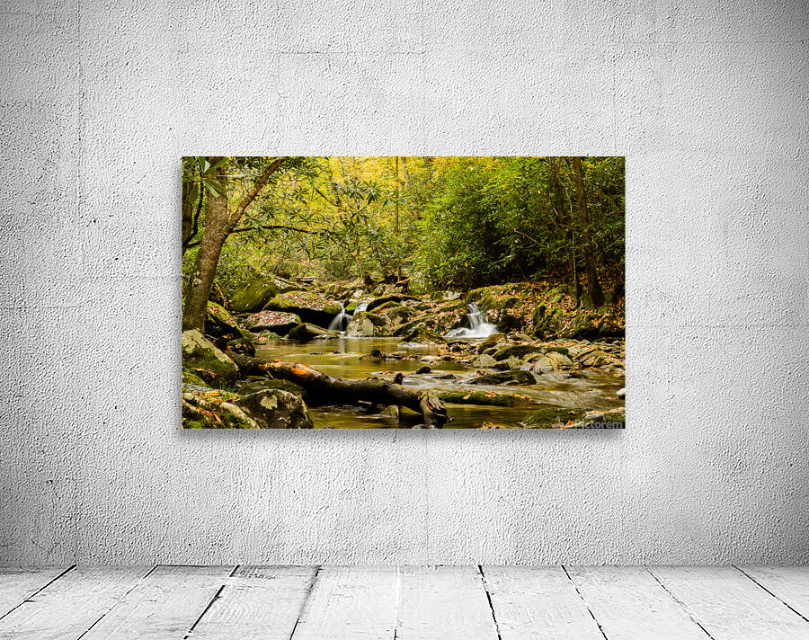 Rocky Fork III Wall Preview