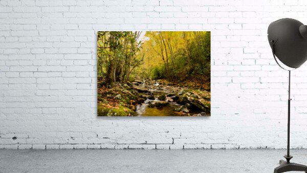 Rocky Fork II Wall Preview