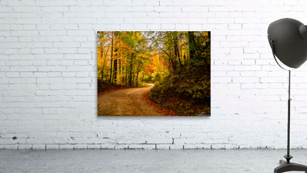 Hwy 197 Fall Wall Preview