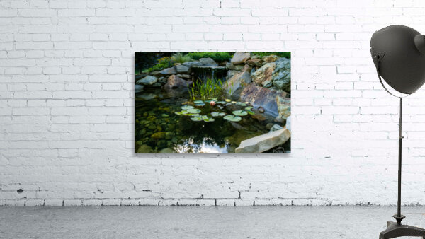 Lotus and Waterfall Wall Preview