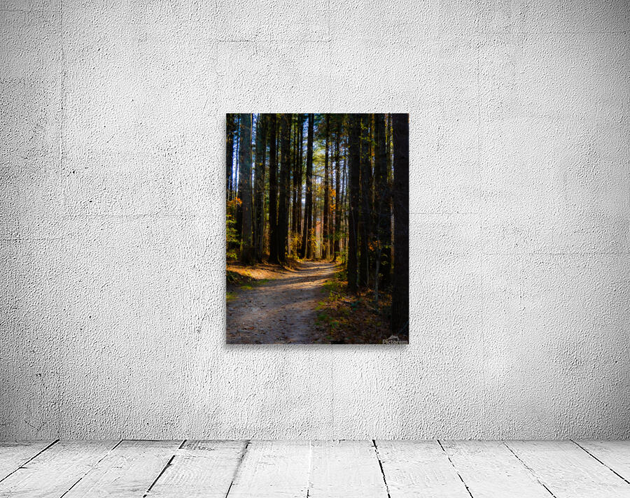 Path Into Light Wall Preview