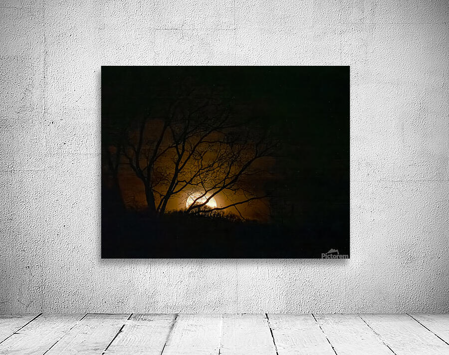 Wolf Moon Rising  1 Wall Preview
