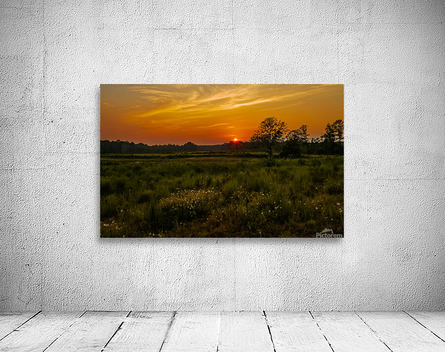 Alabama Sunset Wall Preview