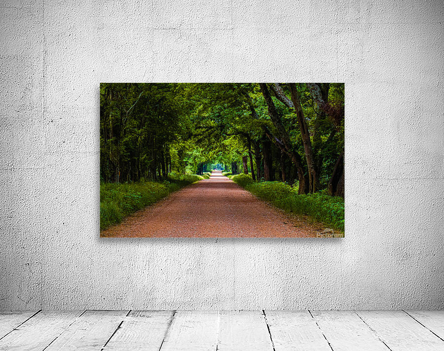 Alabama Backroad Wall Preview