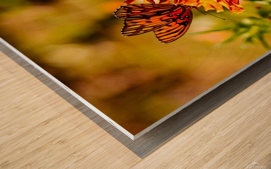 Monarch  3 Wood print
