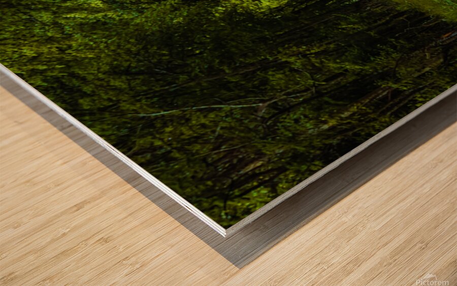 Alabama Backroad Wood print