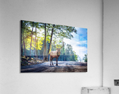 The Elk Acrylic Print