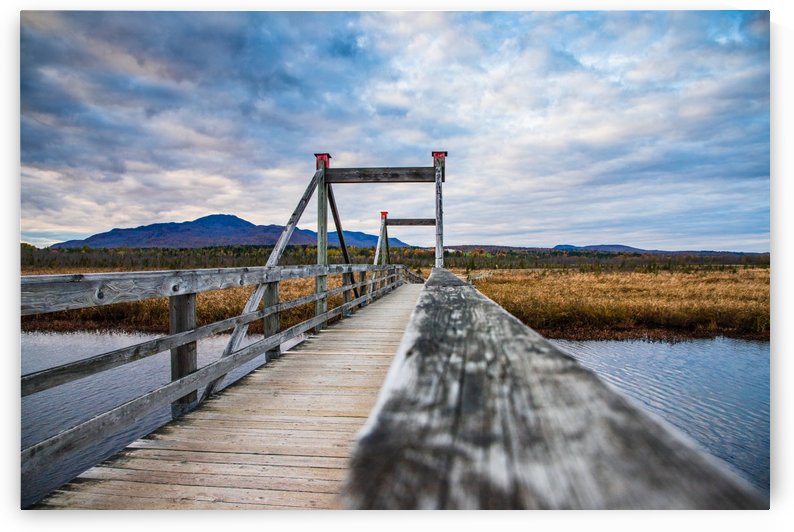 Magog by Shutter Bliss Photography