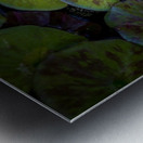 The Lotus Metal print