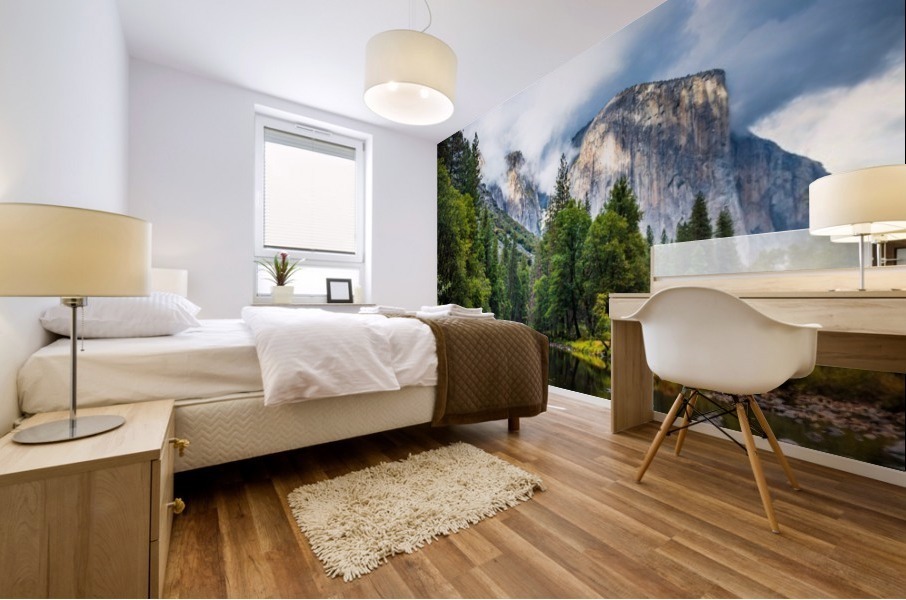 Yosemite Mural print