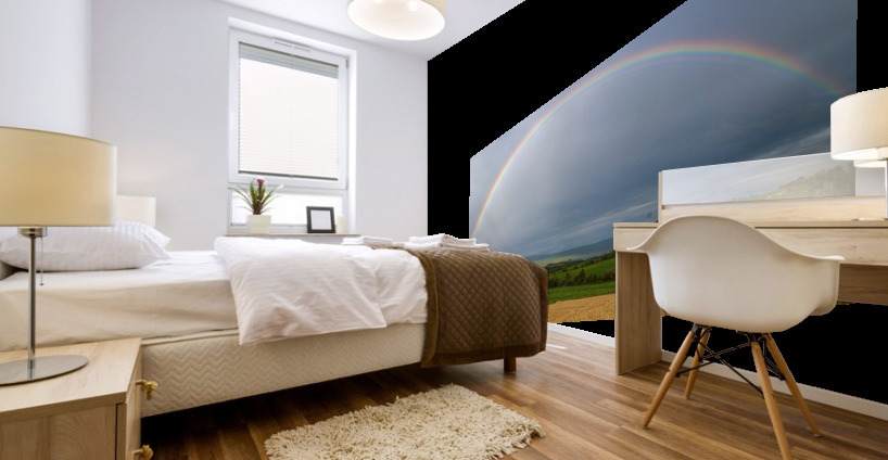 Chasing Rainbows Mural print