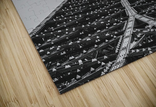 Eiffel Tower Shutter Bliss Photography puzzle