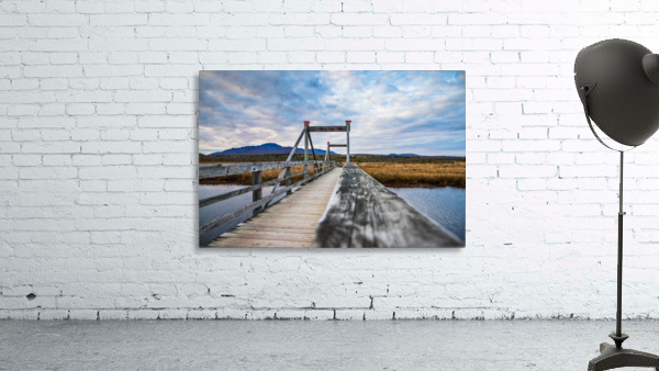 Magog Wall Preview