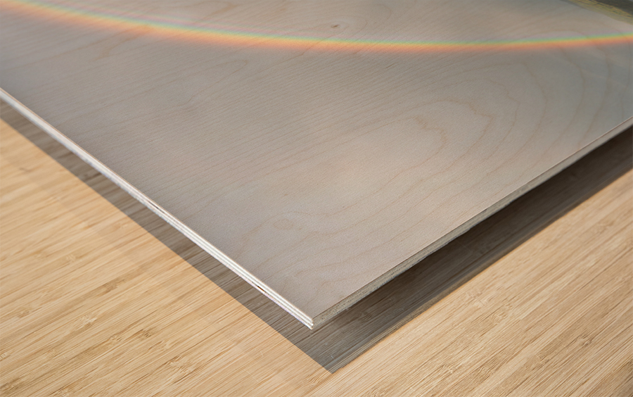 Chasing Rainbows Wood print