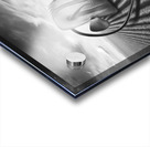 Scared Acrylic print