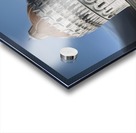 Carthago Delenda Est Acrylic print