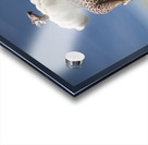 Trapeze Artists with Unusual Trapeze Acrylic print